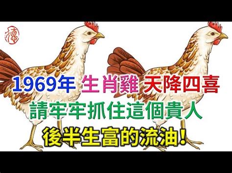 1969生肖雞|【1969生肖】屬雞人2023運勢全攻略！1969年54歲生肖雞每月運。